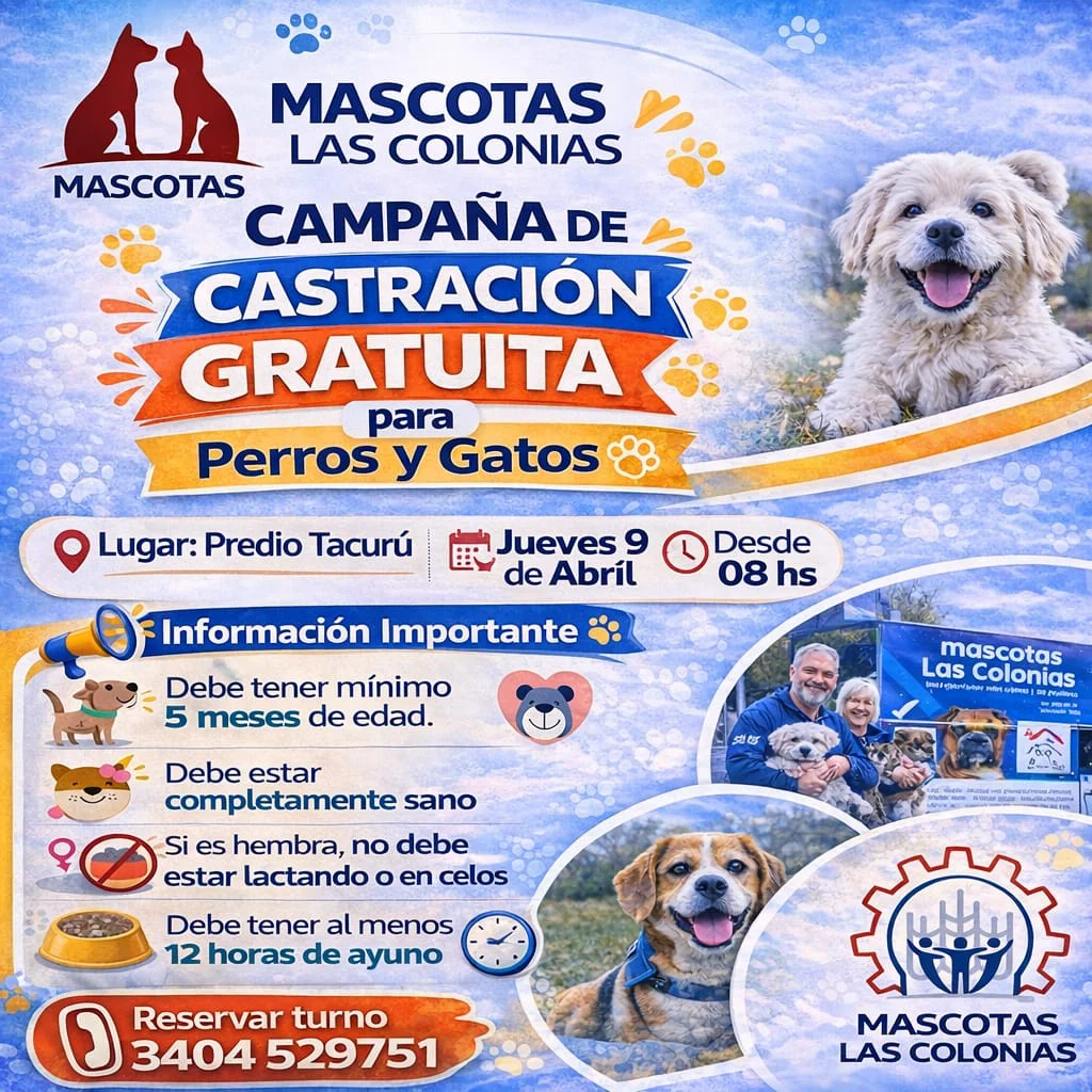 WhatsApp Image 2026-03-17 at 21.35.29